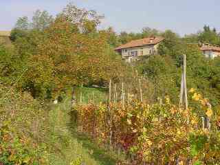 Ferienwohnung Podere Margherita